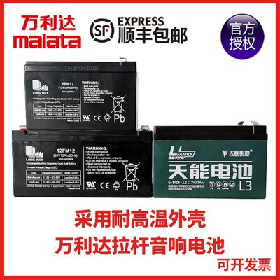 万利达音响音箱户外G12M+9029  电池6FM12 12V12Ah  24V12Ah 电瓶