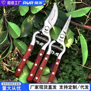 货源供应果树修枝剪树枝剪园艺盆艺剪刀花木粗枝剪省力园林剪工具