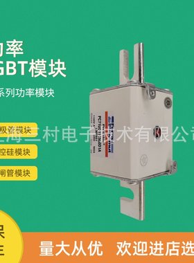 全新熔断器保险PC71UD10C630EF H300617 PC71UD13C315EF B300611