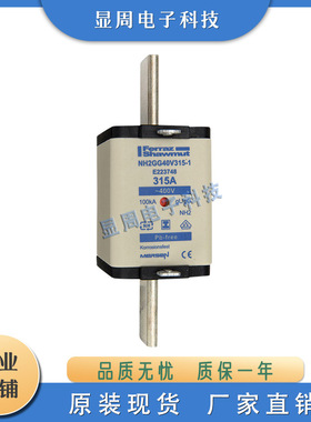 全新保险丝熔断器NH2GG50V250 300 315 R222494 P200803 E201346
