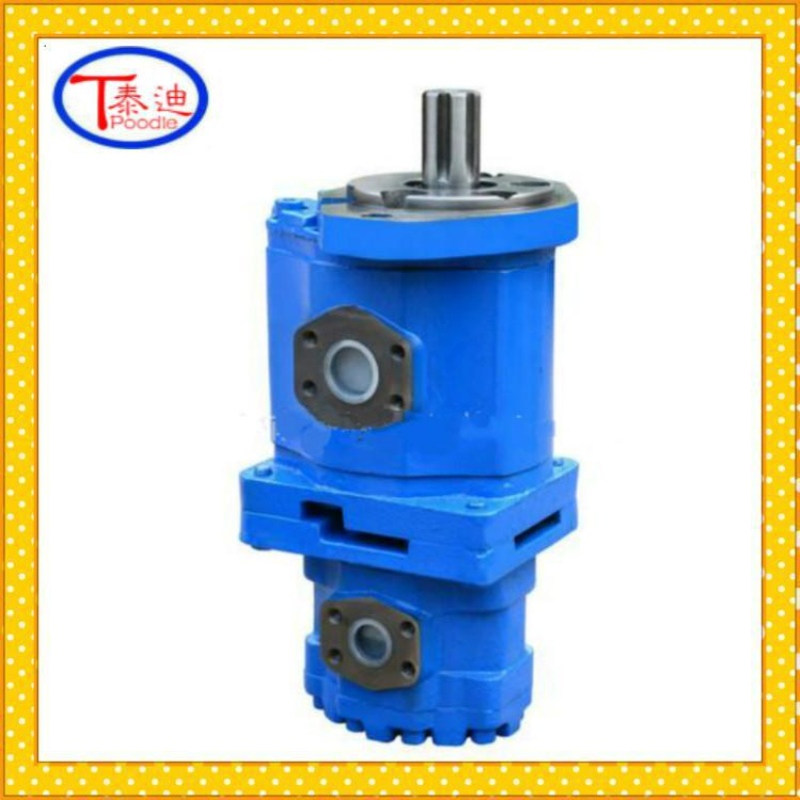 CBY3050/K1010-A2FR双联齿轮泵 鑫通履带式斜坡用扒渣机双联泵