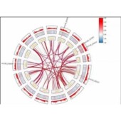扩增子16s 18S ITS宏基因组测序数据分析微生物多样性测序基因组