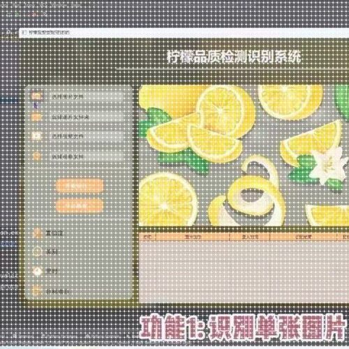 yolo目标检测Python机器学习opencv图像处理语音分析知识图谱调试