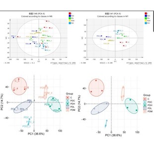 r语言生物统计生信分析可视化r代做视频辅导生信分析服务二代测序