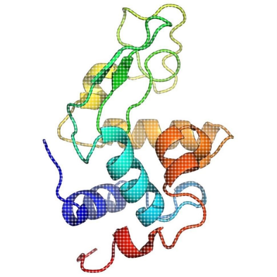 蛋白分子动力学模拟分析3D结构2D结构图PyMOL