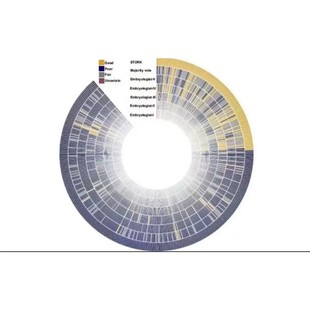 r语言安装包r语言问题解决Rstudio软件编程远程安装win/mac/linux