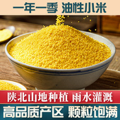 陕北黄小米粮食小米粥小黄米油小米杂粮2.5kg装