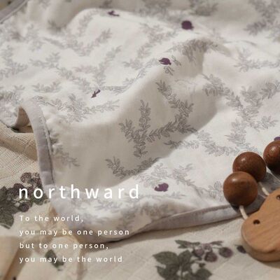 Northward婴儿小方巾竹棉纱布新生宝宝超软口水巾儿童洗脸毛巾a类