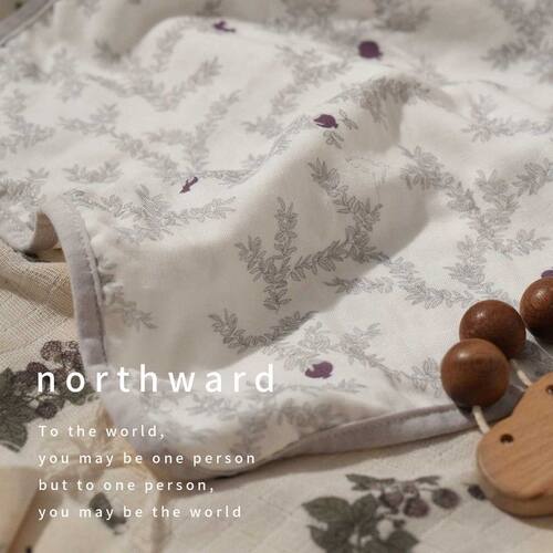 Northward婴儿小方巾竹棉纱布新生宝宝超软口水巾儿童洗脸毛巾a类