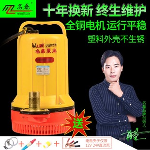 名磊塑料直流潜水泵12V水泵48V60V电动电瓶车抽水泵家用小型抽水