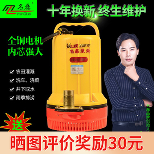 名磊直流潜水泵48V24V12V塑料外壳电动车水泵浇菜地灌溉抽水机