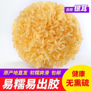 福建古田银耳官方旗舰店干银耳糯新鲜椴木小银耳雪耳干货无硫丑耳