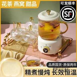 养生壶多功能家用保温小型办公室全自动加厚玻璃煮茶器烧水煮茶壶