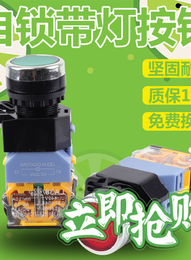 银点电源开关LA38-11DSLA38-11DNZS平头自锁带灯按钮开关24V220V