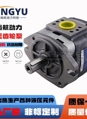 福伊特液压泵VOITH齿轮泵IPV4-13 IPV3 泵 IPV5-64 IPV6油泵高压