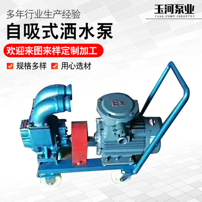 用小型自吸泵园林摇臂洒水车自吸泵 自吸式洒水车 移动泵车供应