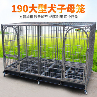 藏獒狗笼子 长190厘米中型大型犬子母笼加粗加厚加固双门隔断犬笼