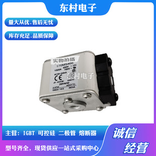 170M5463 170M5464 170M5465 170M5466 170M5467 170M5468熔断器