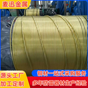 铁路贯通地线路基接地分支引接线环保型合金护套贯通地线SDH35线