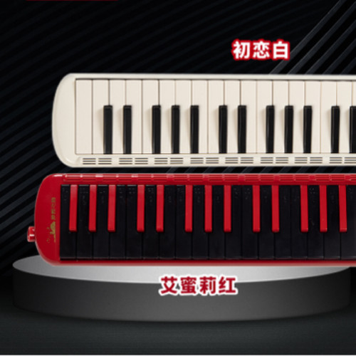 梦想之韵37键口风琴初学吹奏
