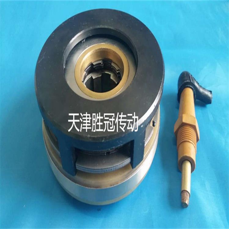 DLM0-6.3 电磁多片离合器DC24V