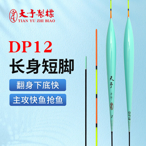 天予DP12鲫鱼正钓抢鱼浮漂