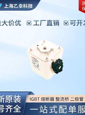 巴斯曼熔断器  170M6549 170M6557 170M6558 170M6559 170M6560