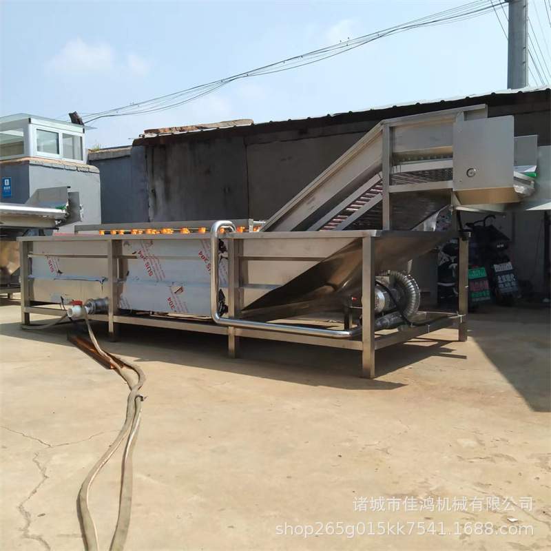 全自动果蔬洗菜机 大型多功能气泡清洗机 水果蔬菜气泡清洗机佳鸿