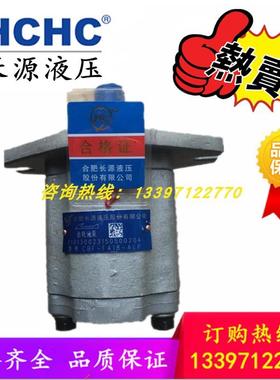 合肥长源齿轮油泵CBF-F420/F425/F432/E440/E450-ALP/ALPL/ALHL