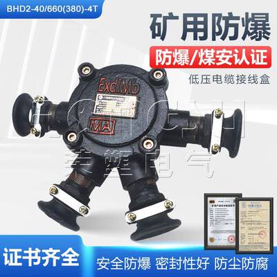 BHD2-40/660(380)-4T矿用隔爆型压低电缆接线盒防爆铸铁40A四通
