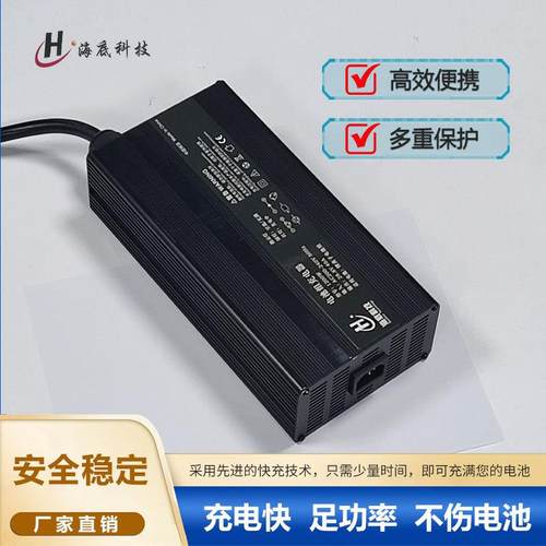 12.6V60A14.6V60A16.8V60A21.9V50A25.2V40A29.4V40A充电器