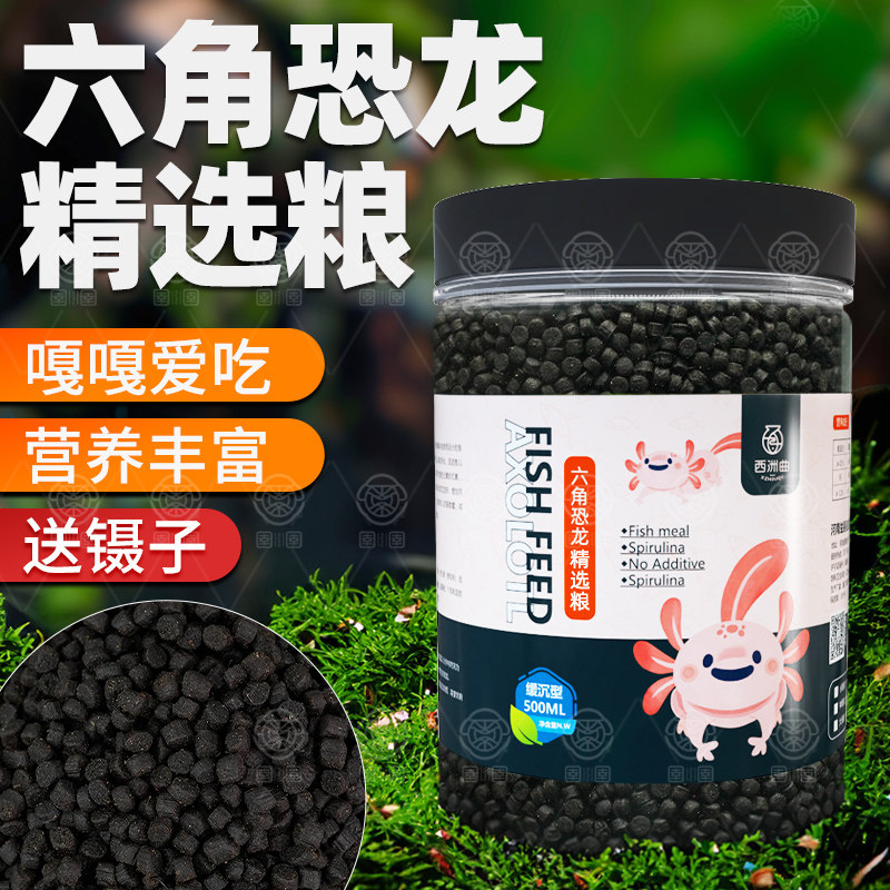 六角恐龙鱼饲料美西螈专用蝾螈鱼食娃娃鱼清道夫小颗粒鱼粮,宠物/宠物食品及用品,鱼,淘宝优惠券,粉丝福利购,淘宝优惠卷