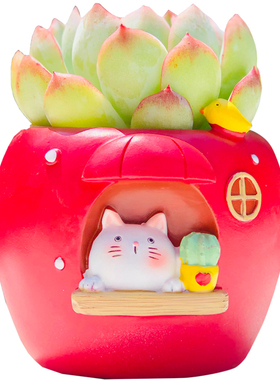 可爱创意精致小花盆红色黄色动物小猫造型多肉盆栽伴手礼易养儿童