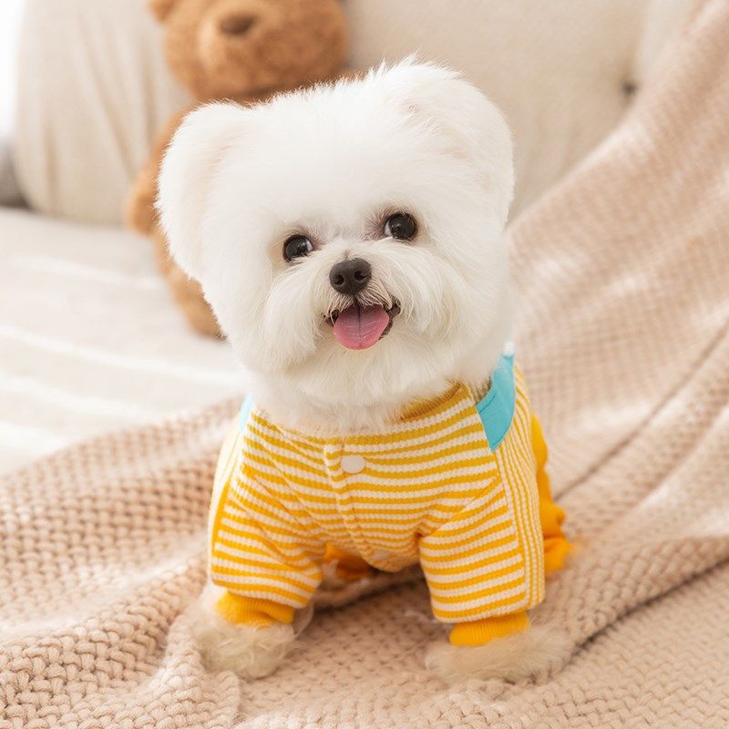 宠物狗狗立体小鸡牵引背带裤加厚加绒秋季冬天厚款衣服比熊泰迪犬,宠物/宠物食品及用品,狗宠物服装/雨衣,淘宝优惠券,粉丝福利购,淘宝优惠卷