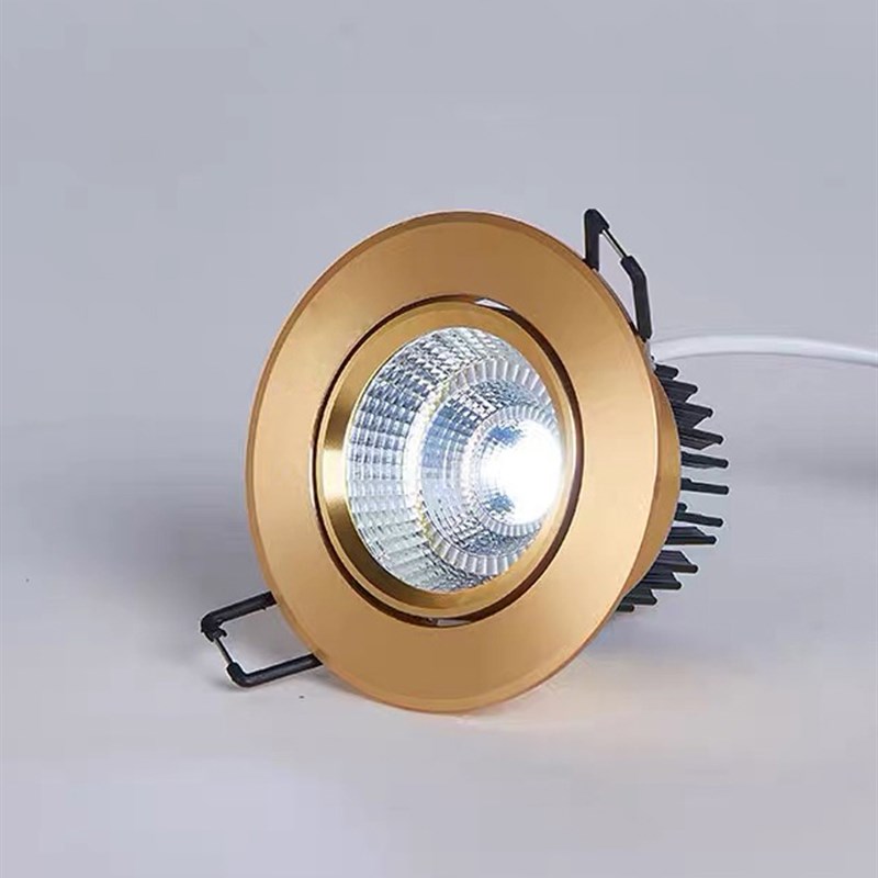 雷欧金色led射灯cob3W5W7W12W15W20W30W40W天花牛眼嵌入式客厅孔