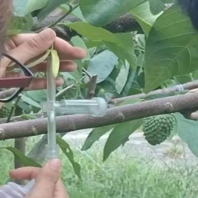 工具授授粉罗汉果沾专用释迦授果树喷神器点的粉花葫芦粉花器人工