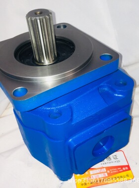 厂家供应 CBGP2100-B1L-30Z  齿轮泵 多种规格
