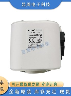 全新保险丝熔断器170M7138 170M7139 170M7140 170M7141 170M7142