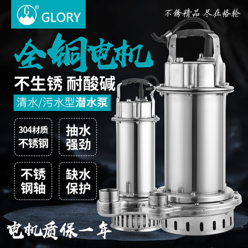 家用304不锈钢潜水泵220v抽水泵自动清水泵高扬程农用灌溉