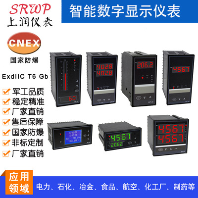 CHXM-2012P1双屏数显控制仪 数字显示报警器80160双屏