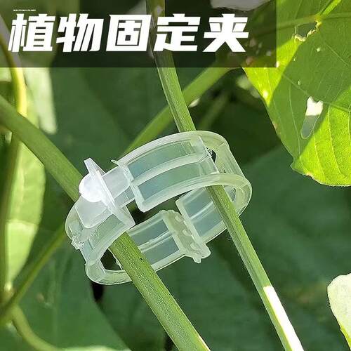 瓜果蔬菜固定夹绿植果树支撑杆