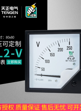 天正 6L2-V电压表450V250V500V1000V交流指针表10KV12KV20KV/100V