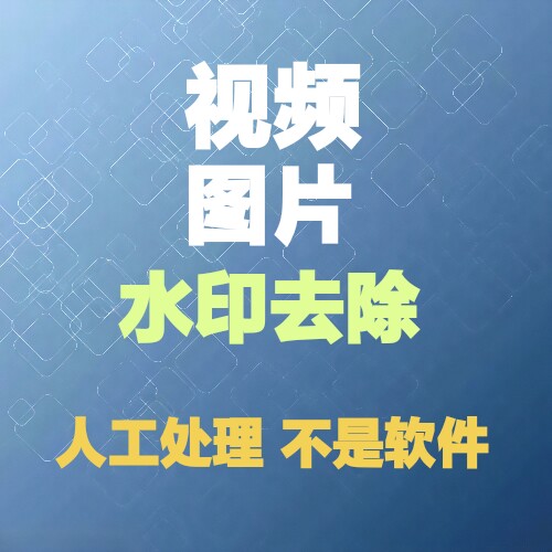 专业视频去水印图片去水印人工在线去除无痕去除水印处理