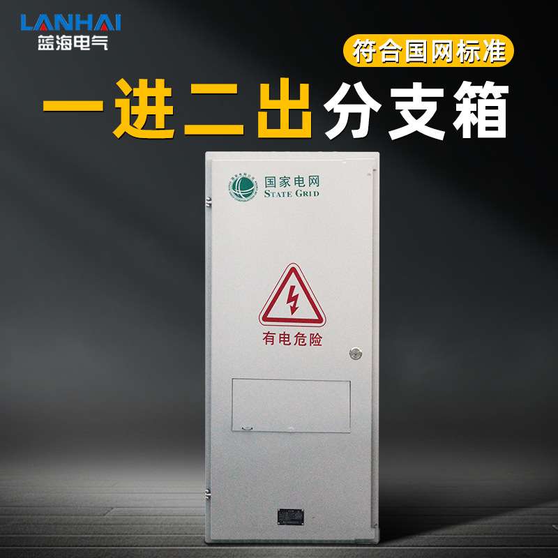 国网分支箱分线箱一进2/3/4/5出全系列电能计量箱冷轧钢板表箱