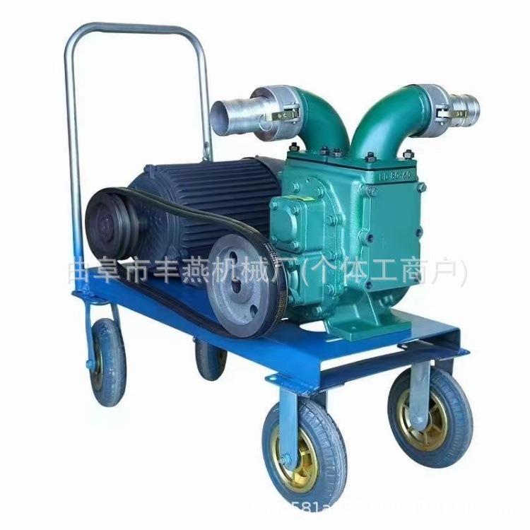 工业园排污水抽粪泵柴油手推车款自吸泵2寸小型养殖场排污泵