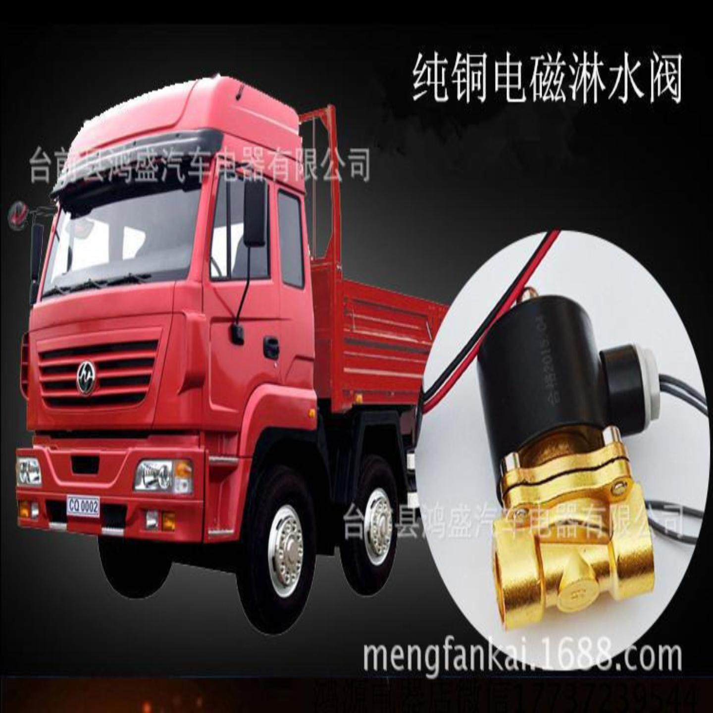 纯铜货车电磁淋水阀带排污