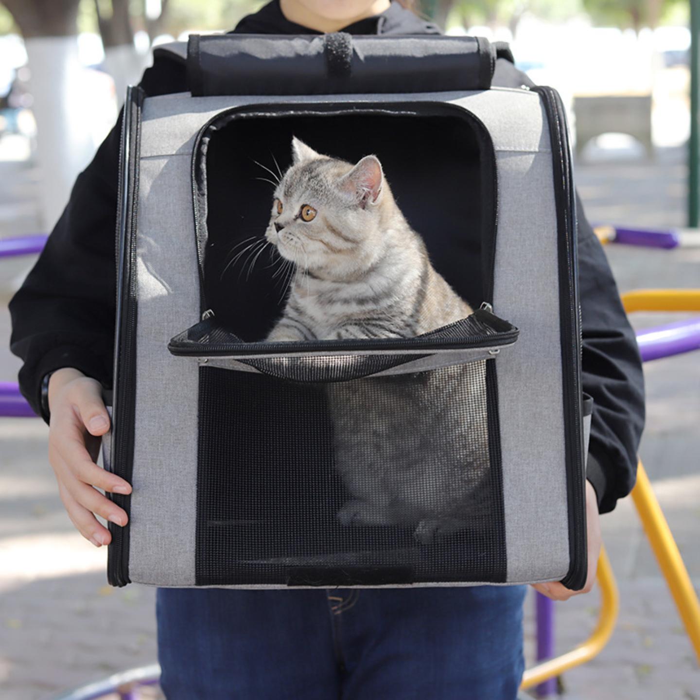 猫包宠物背包外出双肩透气大容量