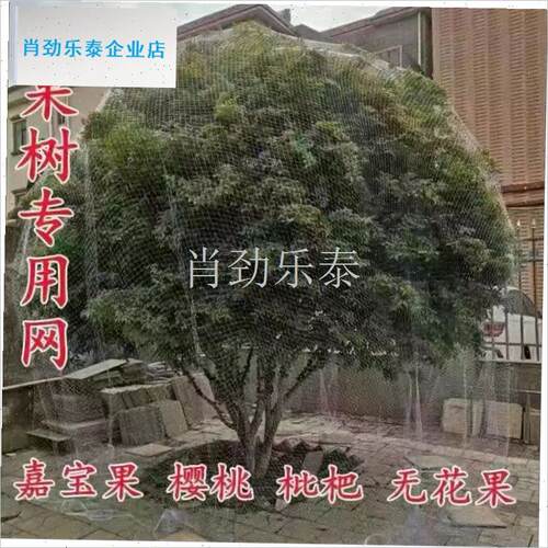 树专用防鸟罩单棵株o保护枇杷树樱桃树木嘉宝果葡萄果园驱鸟罩纱l