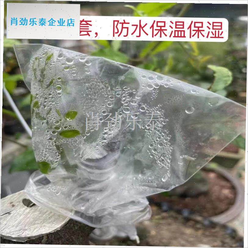 接专用套袋防风雨保湿袋园林树C木盆栽防冻膜嫁接提高成活率l