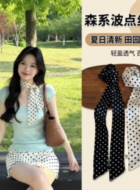 韩系高级波点复古长条丝巾发带